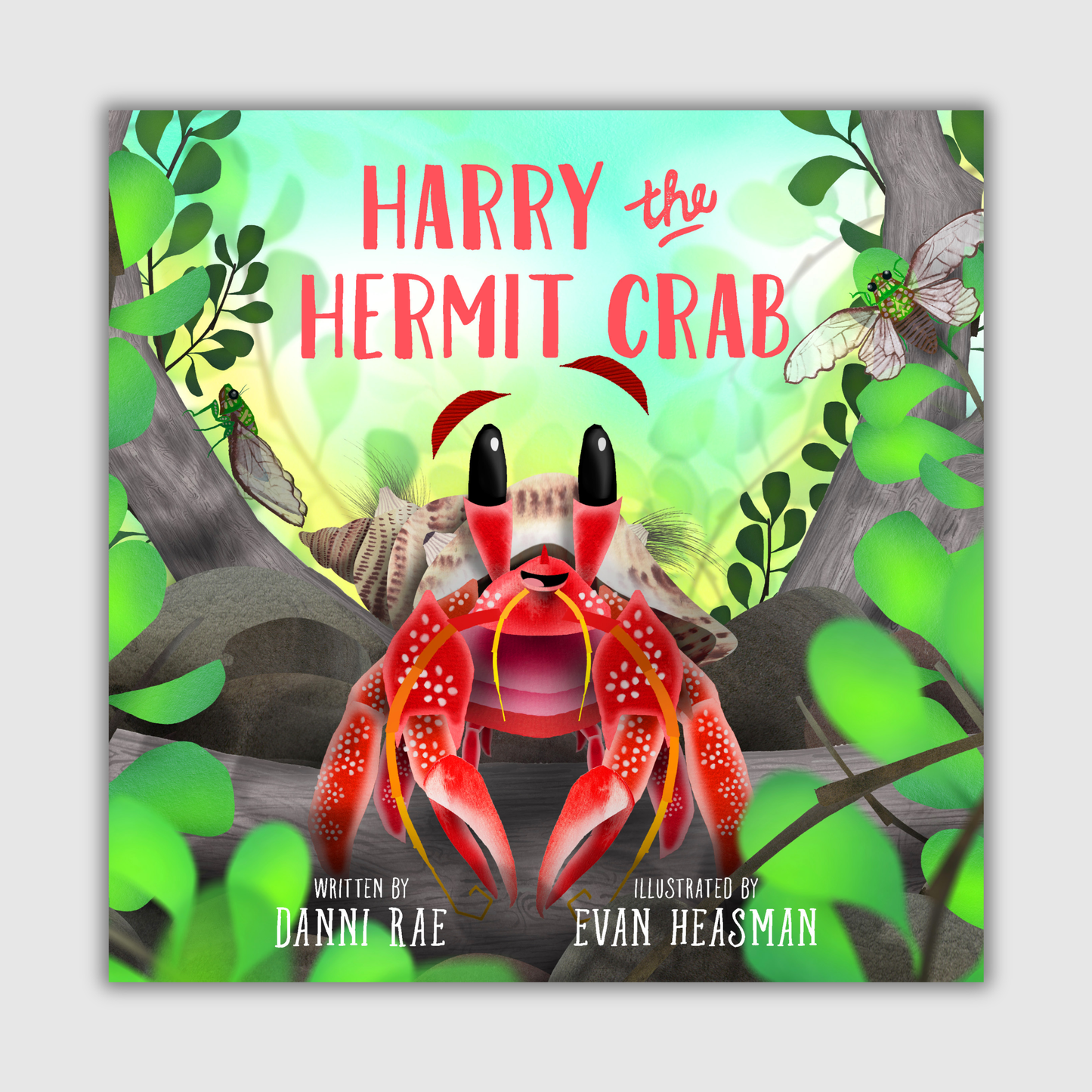 Harry the Hermit Crab