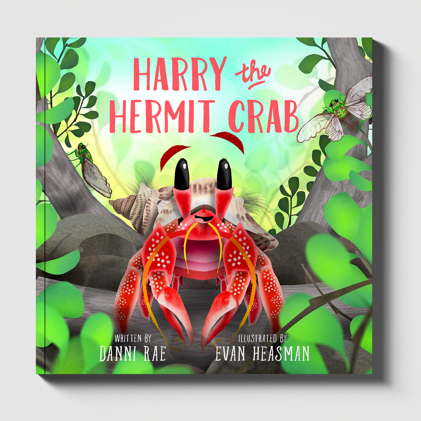 Harry the Hermit Crab